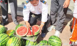 淄博吃瓜爆料事件视频,一场网络视频引发的全民热议